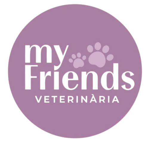 C CARTILLA MY FRIENDSpdf page 0001 removebg preview