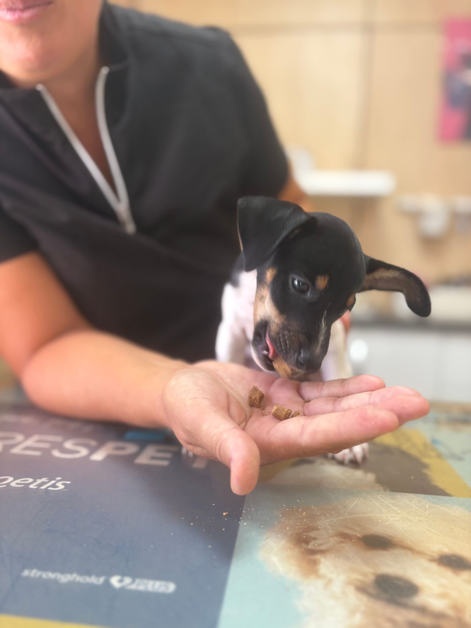 3825ee3e0a61b092672043c9fc6ff42c73ccc02c (1)