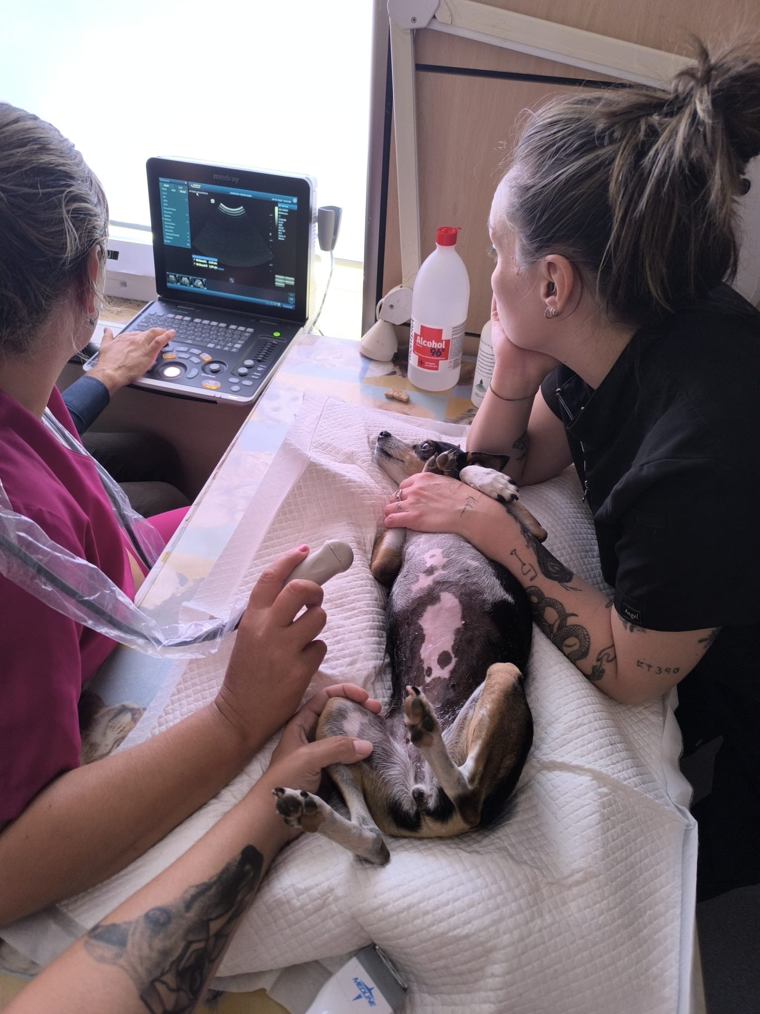 557181e8d1c00513487478c6d749830fff1b8b7c