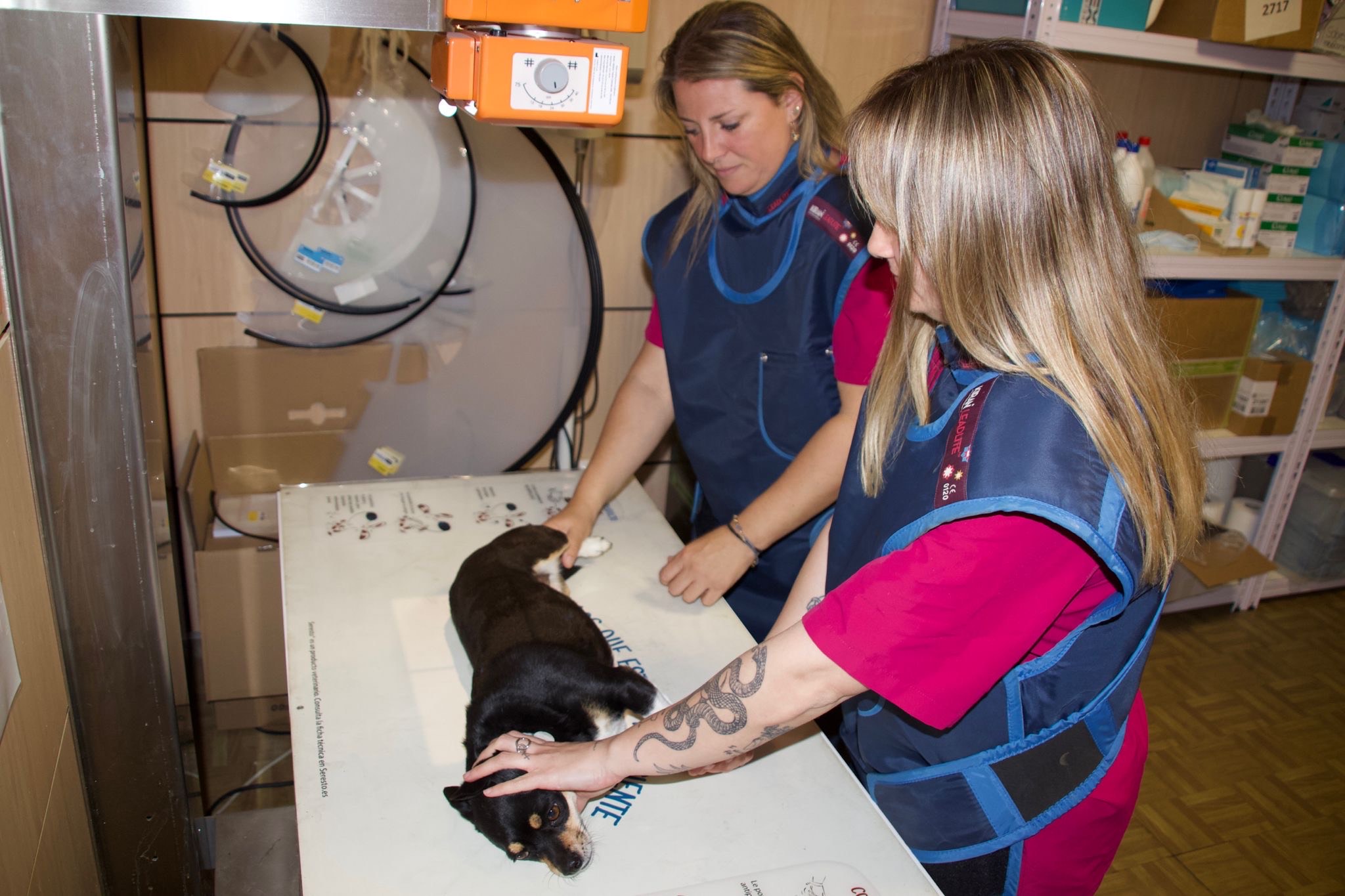 b286e59384a33d442449e963c8a8e817e3c8dc6d